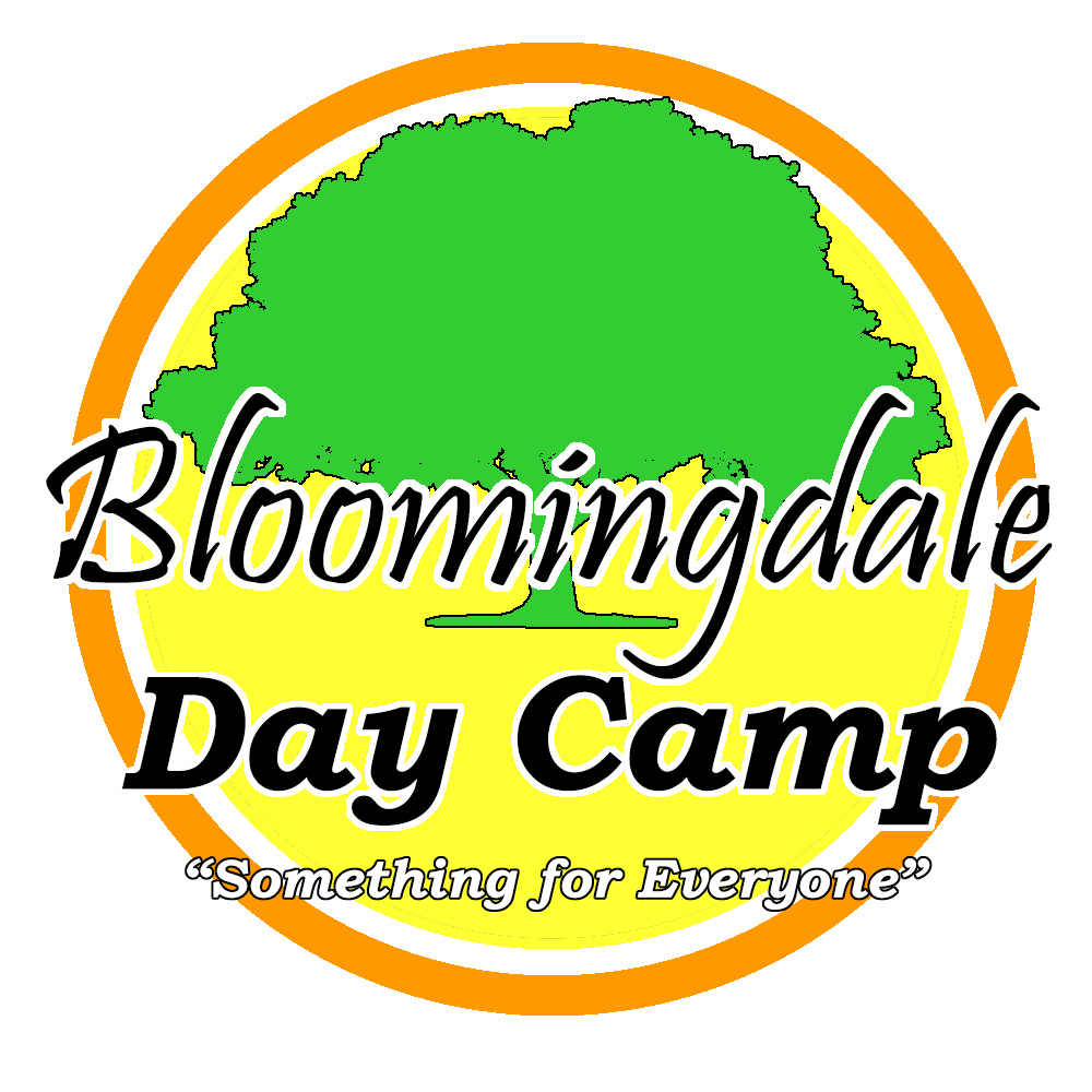 Bloomingdale Day Camp Borough Of Bloomingdale